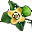Kwiat Kaki x1