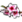 Kwiat Brzoskwini (Badania).png