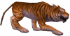 Głodny Tygrys.png